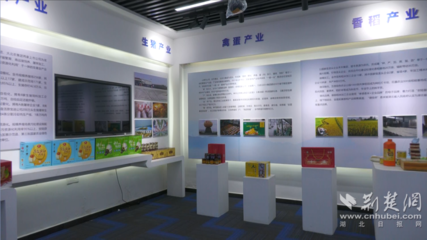 安陸鏈?zhǔn)秸猩?一根米粉串起的百億食品產(chǎn)業(yè)鏈與網(wǎng)絡(luò)文化經(jīng)營(yíng)新路徑