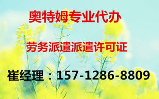 全面解析代理延慶縣網(wǎng)絡(luò)文化經(jīng)營(yíng)許可證的辦理要點(diǎn)與流程