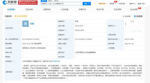 無證經(jīng)營(yíng)網(wǎng)絡(luò)文化產(chǎn)品的風(fēng)險(xiǎn)與合規(guī)路徑探析