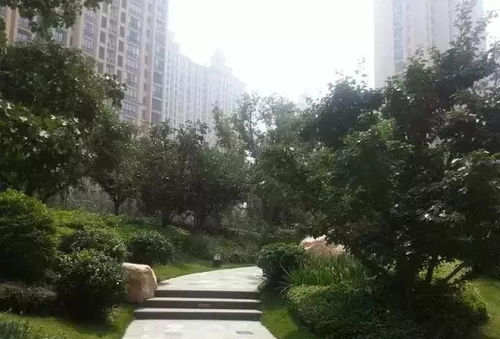 園林綠化工程施工技術(shù)規(guī)范 值得深入學(xué)習的專業(yè)指南